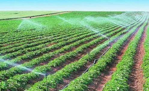非洲嫰穴老女人农田高 效节水灌溉